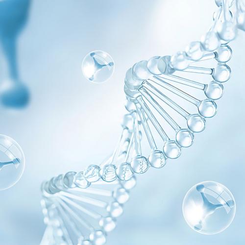 生物科技 重塑未來的生命密碼